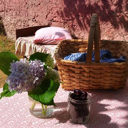 Apartament Quinta Farm - Silence And Nature Retreat Lousã